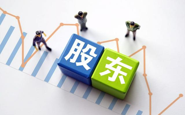 “夫妻二人”公司的股东责任问题研究 